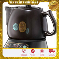 Ấm sắc thuốc Bear A30A1/B40Q1 dung tích 3,5L cao cấp