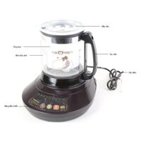 Ấm sắc thuốc tự động Daewoo DW-290