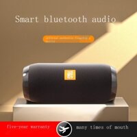 Âm thanh Bluetooth chất lượng âm thanh cao siêu dài tuổi thọ pin loa siêu trầm mini cho Sony