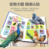 Âm thanh song ngữ có thể sạc lại Giảng dạy sớm 0-8 tuổi Bé đọc ngón tay Nói Audiobook Máy học 3.2