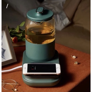 Ấm trà đa năng Bear D08E1