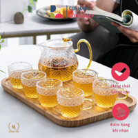 Ấm trà đun thẳng trên bếp hoạ tiết vẩy rồng thời thượng | Bình ly vẩy rồng sức chịu nóng nguyên liệu Borosilicate gia dụ