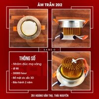 Âm trần 202 hoa văn zic zắc