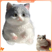 Amar Cat Pinch Toy Fat Cat Toy Soft Tpr Stress Ball Đồ chơi cho mèo để giảm lo âu Đồ chơi thần tài vui nhộn cho trẻ em Thanh thiếu niên và người lớn Bóp đồ chơi để chơi căng thẳng và cảm giác