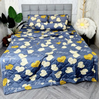 ☸️MẪU MỚI☸️ Bộ Ga Gối Chăn Thun Hàn Quốc Thoáng Mát, Mềm Mịn, In 5D Sắc Nét, Không Nhăn Xù Lông_HCM