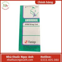 Ambroxol Syrup 30mg/5ml Flamingo