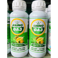 AMINO GA3 500ML - KÉO ĐỌT VỌT HOA LỚN TRÁI CỰC NHANH BUNG MẮT CUA SUÔNG TRÁI TRÒN TRÁI NẶNG KÝ BUNG ĐỌT CỰC NHANH