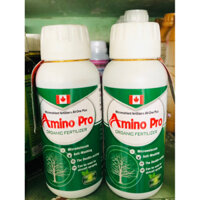 AMINO HỮU CƠ CANADA DƯỠNG CÂY DƯỠNG TRÁI