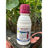 Amistar Top 100ml Syngenta: Phổ rộng như Thán Thư, đốm trắng, xanh lá sáng bông