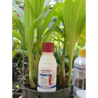 AMISTAR TOP 325SC (MSP1573128)  XÌ MŨ, NỨT VỎ, VÀNG LÁ, RỈ SẮT - 100ml -Mai Huy