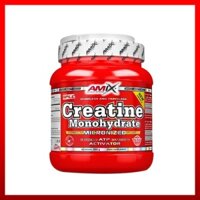 Amix creatine Monohydrate Powder 500g