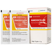 Amoxicillin 250mg điều trị nhiễm khuẩn đường hô hấp, đường mật, đường