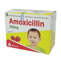Amoxicillin 250mg mekophar (h/30g/2,5g) (gói)