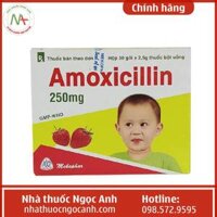 Amoxicillin 250mg Mekophar dạng gói