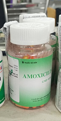 Amoxicillin 250mg TIPHARCO – Điều trị nhiễm khuẩn (chai 100 viên)