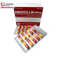 Amoxicillin 500 mekophar (h/100v)