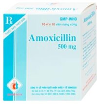 Amoxicillin 500mg DMC – Kháng sinh phổ rộng điều trị nhiễm khuẩn hiệu quả (hộp 10 vỉ x 10 viên)