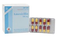 Amoxicillin 500mg DMC – Kháng sinh phổ rộng điều trị nhiễm khuẩn hiệu quả (hộp 10 vỉ x 10 viên)