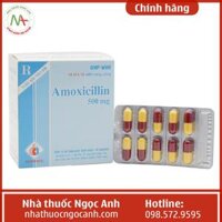 Amoxicillin 500mg Domesco