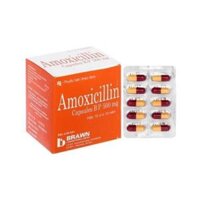 Amoxicillin 500mg India (H/100V)
