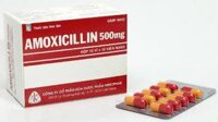Amoxicillin 500mg Mekophar – Điều trị nhiễm khuẩn (hộp 10 vỉ x 10 viên)