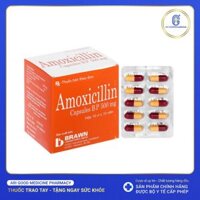 Amoxicillin Capsules BP 500mg trị nhiễm khuẩn (10 vỉ x 10 viên)