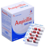 Ampicillin 500 mg, điều trị có hiệu qua các bệnh viêm xoang, viêm tai giữa