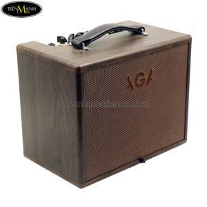 Ampli Guitar Acoustic AGA SC-X5