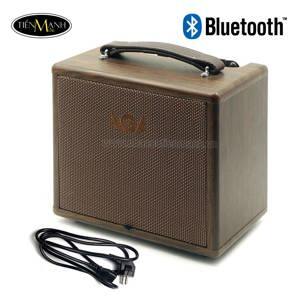 Ampli Guitar Acoustic AGA SC-X3P