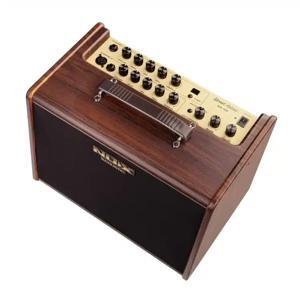 Ampli Guitar NUX Street Artist SA-40