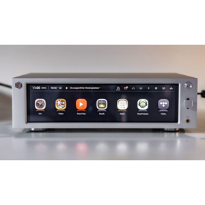 Ampli HiFi Rose RS201E