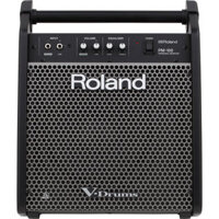 Amplifier Roland PM100, Combo Acoustic