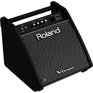 Amply - Amplifier Roland PM-100