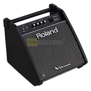 Amply - Amplifier Roland PM-100