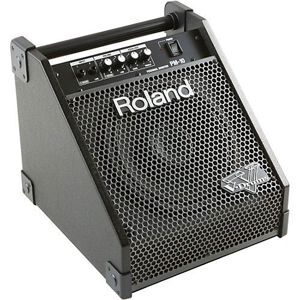 Amply - Amplifier Roland PM10 (PM-10)