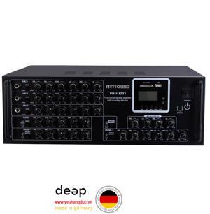 Amply Artsound Pro 12T1