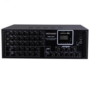 Amply Artsound Pro 12T1