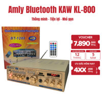 Amply Bluetooth BT-9100 – Âm Thanh Chất Lượng Cao, Bass Mạnh, Echo Cực Hay - Bảo hành chính hãng