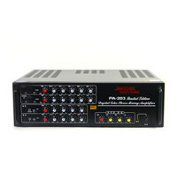 Amply Jarguar PA-203 Limited