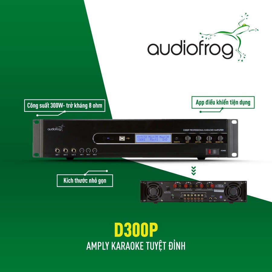 Amply Karaoke AudioFrog D300P