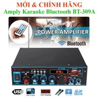 Amply Karaoke Bluetooth 600W cho gia đình & xe hơi BT-309A, BT-198A BT-198E