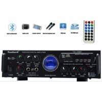 Amply  Karaoke Bluetooth điện 12v - 220v Echo hát hay nhất hiện nay Sunbuck 339BT dùng trên xe ô tô, ở nhà đều được