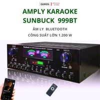 Amply karaoke bluetooth Gunssi công suất lớn Sunbuck 999BT, âm ly karaoke gia đình bảo hành 12 tháng