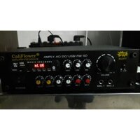 AMPLY KARAOKE MINI BX2277 DC 12V USB - BLUETOOTH