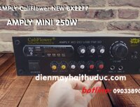 AMPLY MINI CALIFLOWER BX2277
