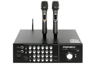 Amply Paramax AX-850 350W