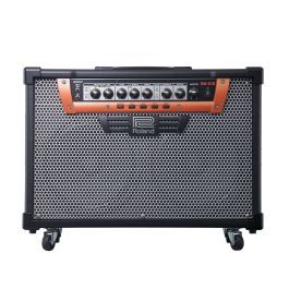 Amply Roland GA-212