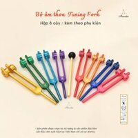 [Amrita] Bộ âm thoa Tuning Fork  – Bộ âm thoa cao cấp kèm Vali và chày gõ – Tuning fork/Diapason – CXNP60