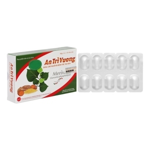 Thuốc điều trị bệnh trĩ An Trĩ Vương