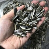 Ăn vặt hạt hướng dương nguyên vị sấy chín 300gr